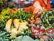广州市场检出两批毒姜 约1960公斤已被销毁