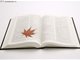 双语美文：A good book may be among the best of friends 以书为伴