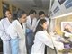 科学家培育出新型全脑类器官