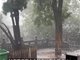 曝郑州嵩山少林寺拒绝游客入内避雨